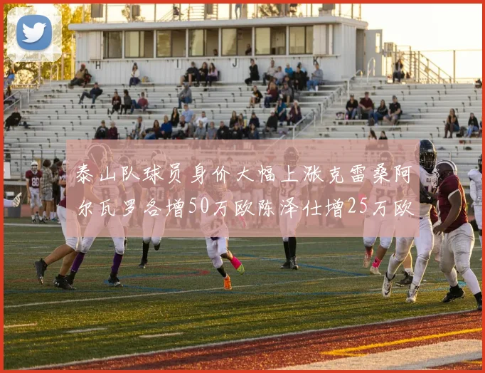 泰山队球员身价大幅上涨克雷桑阿尔瓦罗各增50万欧陈泽仕增25万欧