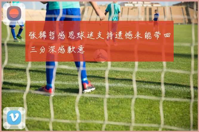 张稀哲感恩球迷支持遗憾未能带回三分深感歉意
