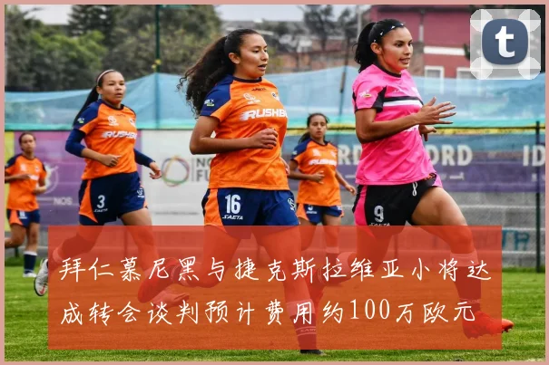 拜仁慕尼黑与捷克斯拉维亚小将达成转会谈判预计费用约100万欧元